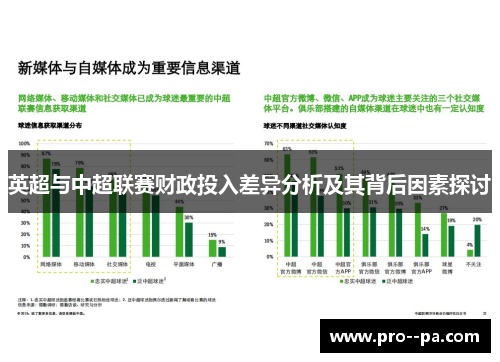 英超与中超联赛财政投入差异分析及其背后因素探讨