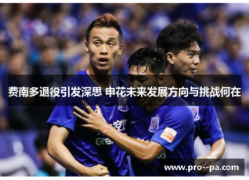 费南多退役引发深思 申花未来发展方向与挑战何在