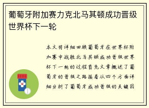 葡萄牙附加赛力克北马其顿成功晋级世界杯下一轮